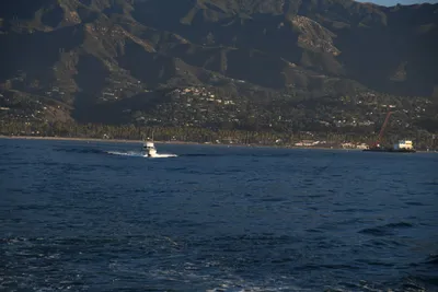 DSC_6579 (Large).JPG